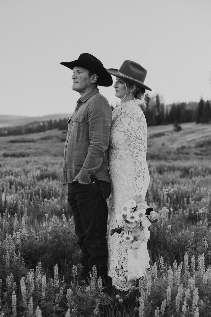 Colorado wildflower elopement portraits in Steamboat Springs