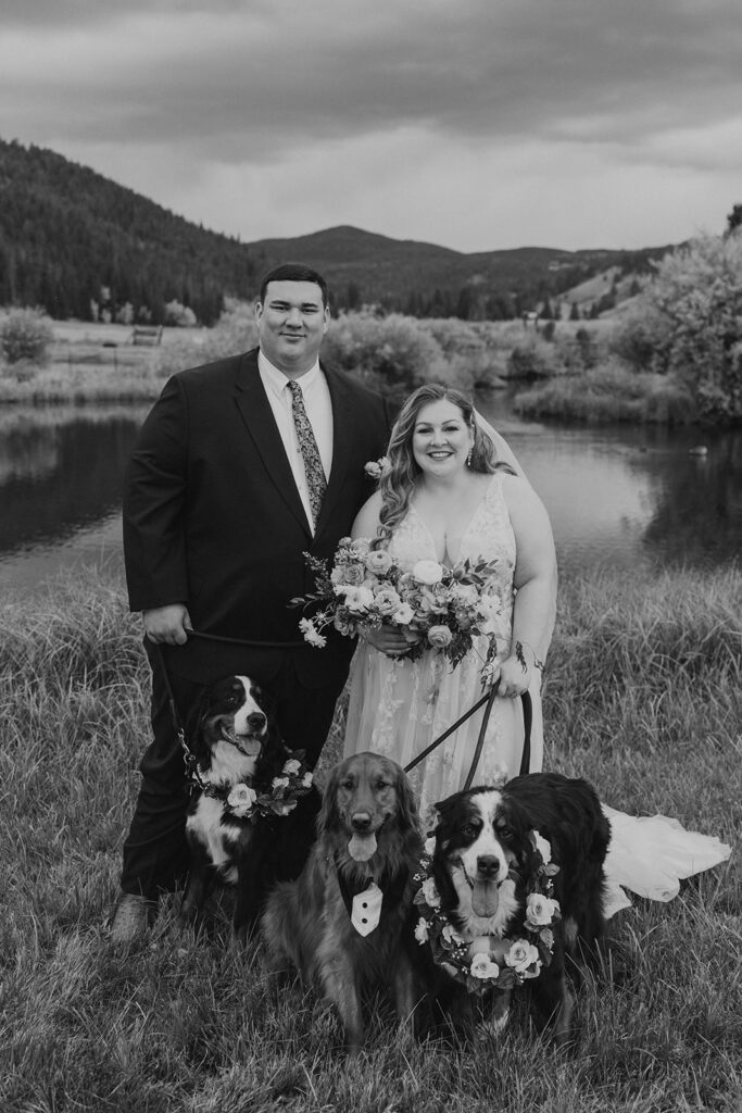 Bride and groom photos with their three dogs