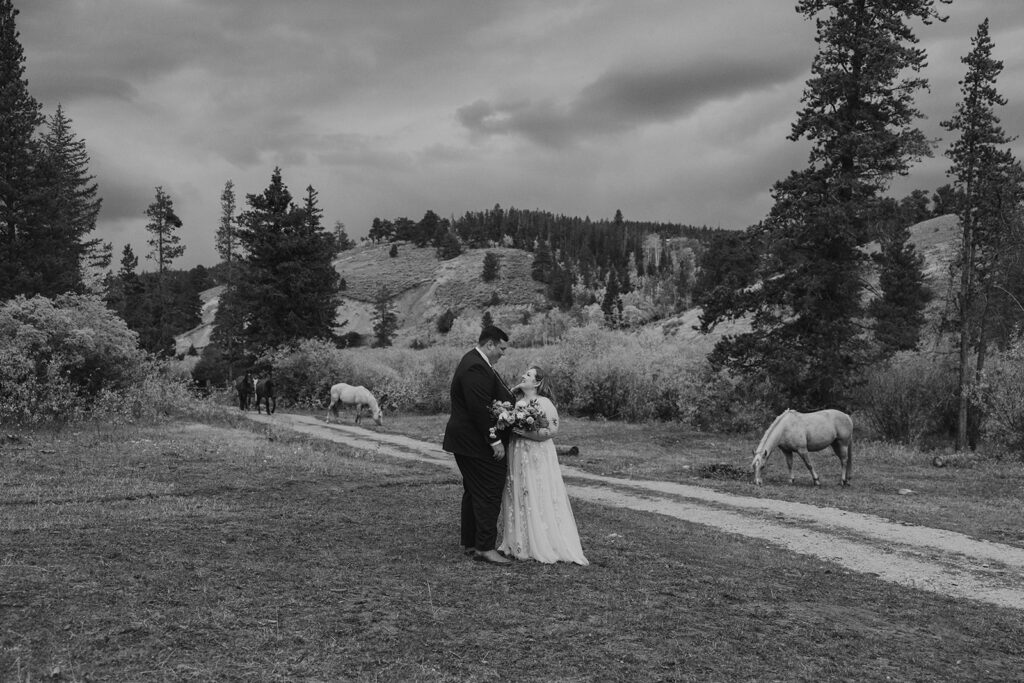 Colorado bride and groom photos with horses