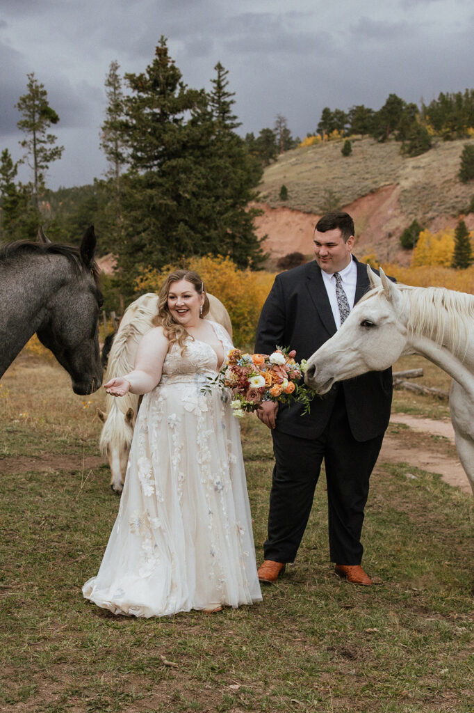 Colorado bride and groom photos with horses